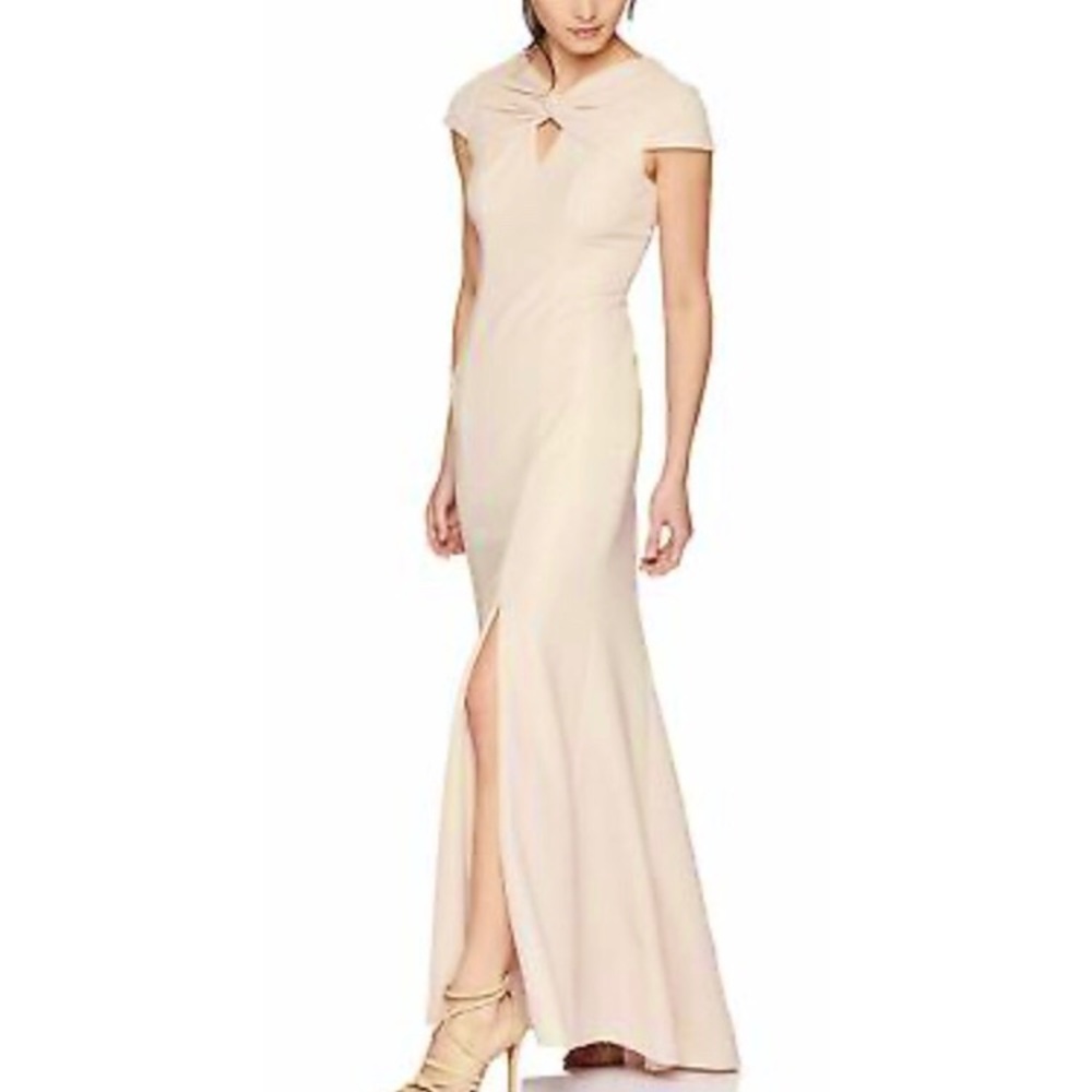 Adrianna Papell Floor Length Petite Dress
